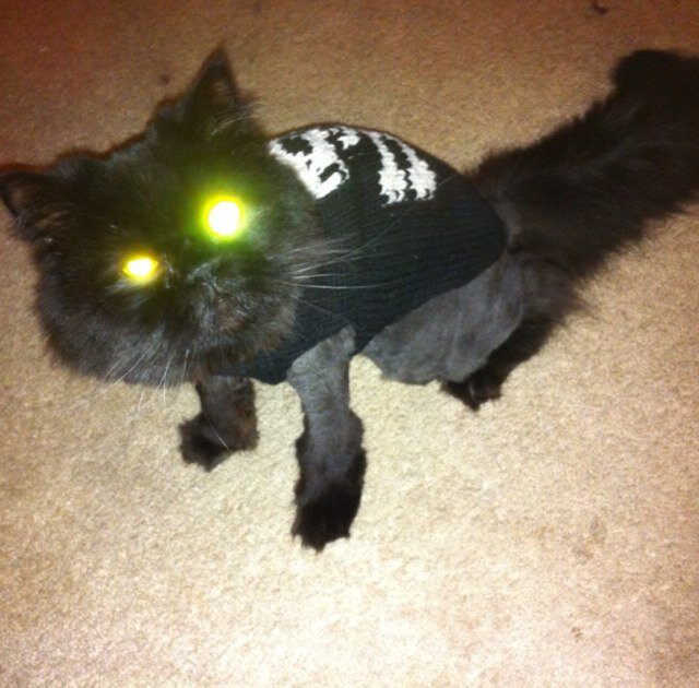 TheHemicane's profile picture. Reader. Scotch enthusiast. Disney Geek. Hoarder of pens. Never enough notebooks. Regrets some, but not all choices. Writer.