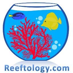 http://t.co/U71fguwWGi provides you with top quality articles and expert advice from the world of saltwater aquarium hobby.