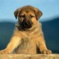 Верните меня в прошлое, там было такое прекрасное будущее...