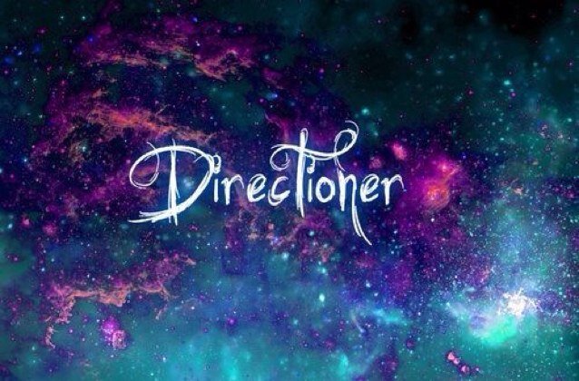 I absolutly love One Direction. Went to their Up All Night Tour in Arizona 2012. Best birthday ever.