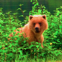 ChilkatAK's profile picture. 