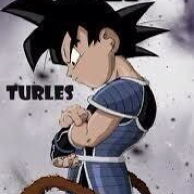 I'm a 15 year old with the brain of a five year old. Don't mess with me I'm a super saiyan level 3. Hey that rhymed! I should be a poet! BFF is @utau_hosina