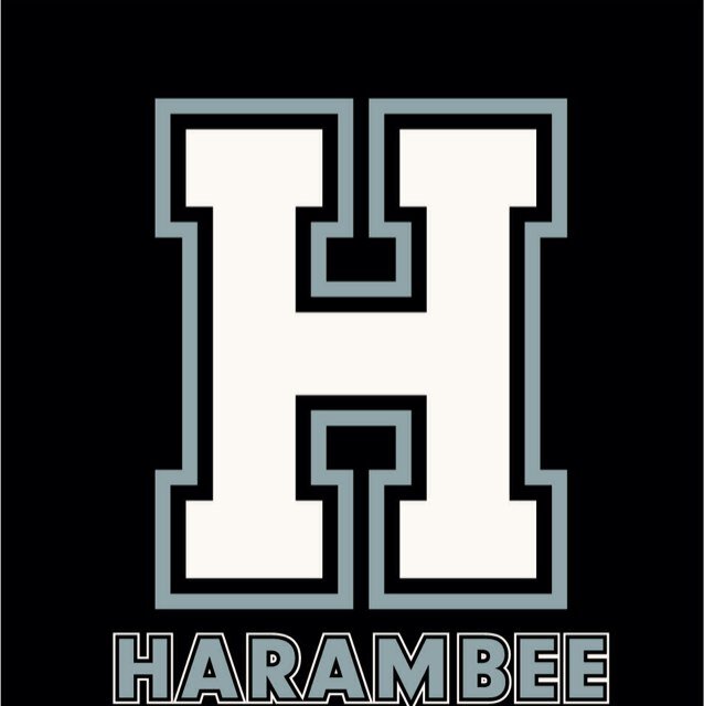 Harambee is an organization of students interested in experiencing African- American history and culture and promoting cultural diversity!
