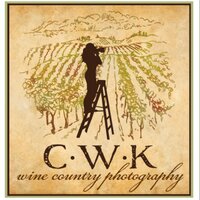 Carolyn Wells-Kramer (@cwellskramer) 's Twitter Profile
