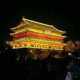 molukki's profile picture. Tech and sport follower, Telecom engineer