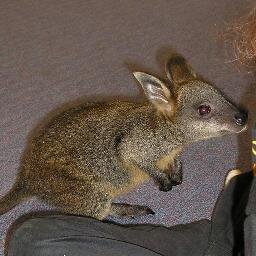 We are a small class of 5/6 year olds in country Victoria, Australia.