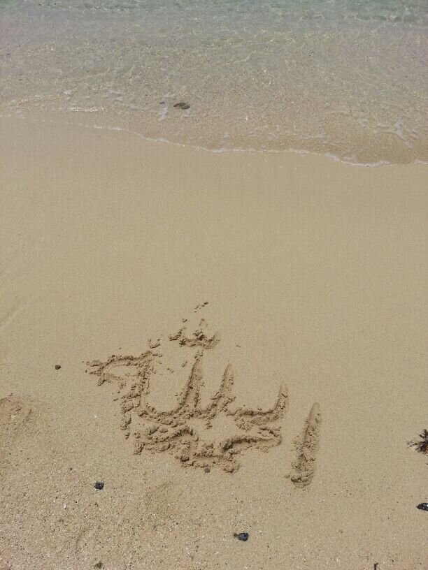 ‏ارجو رضا الله ولوالدّي وأولادي وأهلي وأحبابي