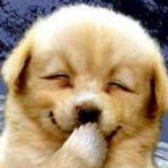 3秒でウケる 爆笑のネタ Bakaukee Twitter
