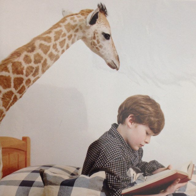 TxHumai's profile picture. 鳳日アカウンコ。ほぼ自分の創作よう。クレイジー鳳の中の人間