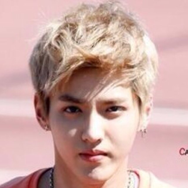 Exo xoxo