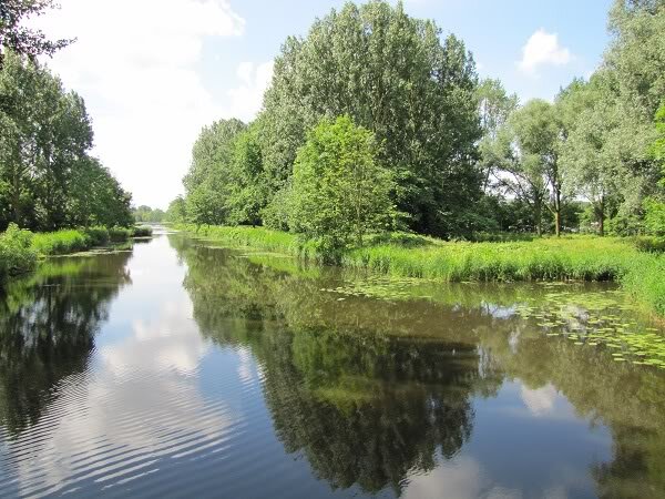 Onze eerste levensbehoefte is zuurstof! Laten we de Groene Long van Schiedam versterken met meer groen..