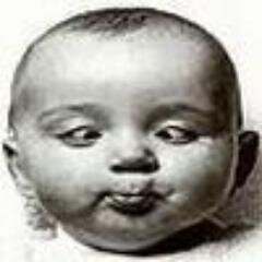 Мы с тобой одной крови. Чук и Гек