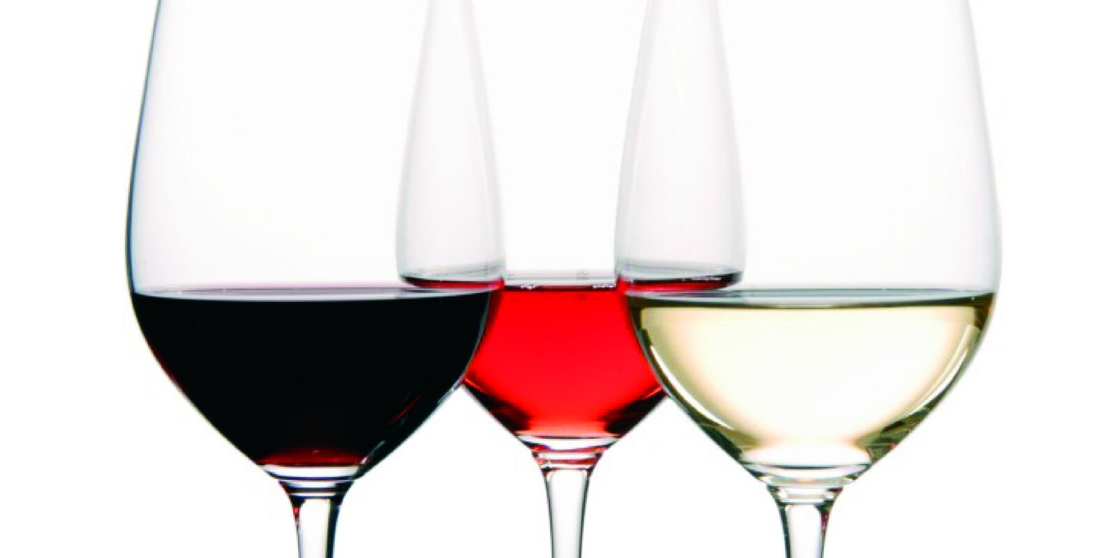 Todo sobre el vino.