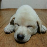 Min  So-yoon (@yunism) 's Twitter Profile