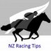 NZ Racing Tips (@nzracingtipster) Twitter profile photo