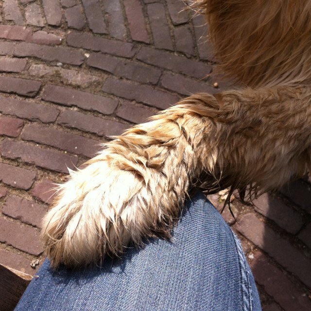 Xje_Eline's profile picture. 