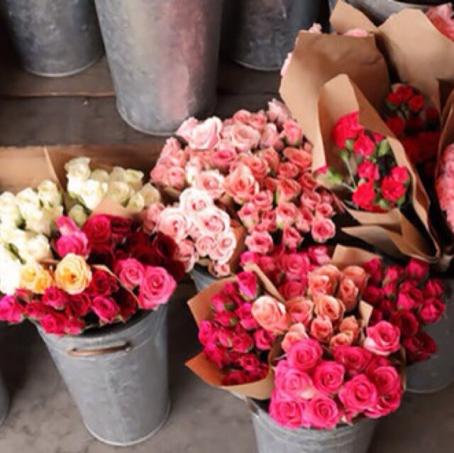 NujjOtaibi's profile picture. 