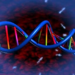 A broad knowledge of the pharmaceutical industry by working in various R&D environments from CRO (BioFocus) to Biotech (Idenix) and large pharma (Merck).
