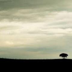 Decía un amigo mío que las casualidades no existen. Que todo esta escrito entre las nubes y las estrellas con tinta invisible.