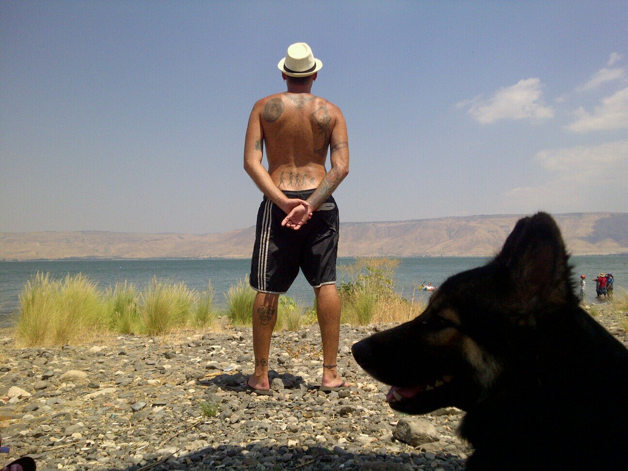 IdisheCorleone's profile picture. Descubriendo la relación entre el chorizo y la velocidad desde 1916