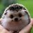 Tiggy Hedgepig