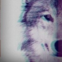 Wolfpack United (@wolfpacku) 's Twitter Profile