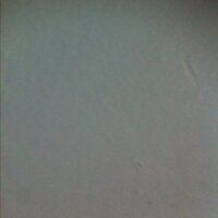 selma bayar (@bayarselma) 's Twitter Profile
