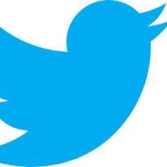 brainscan666's profile picture. 