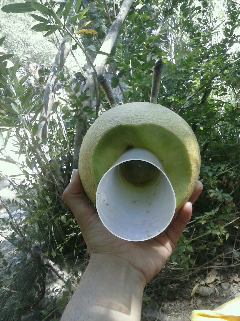 porretadodoti's profile picture. Fumando ganja a ritmo de reggae. FCDP #ddt'screw