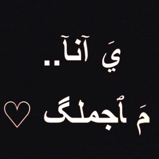 تبي بايو ؟ ما فيه بايو ! كمل طريقك