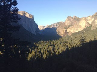 paganoer's profile picture. 