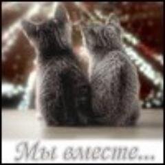 Может мне сойти с ума, и мир покажется другим?