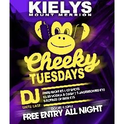 A Cheeky Pub Only 5 Minutes From UCD! Experts in Alcoholic Refreshments & Home of Cheeky Tuesdays! 18ths, 21st, 50th's & Funerals. We're Open To All Occasions!!
