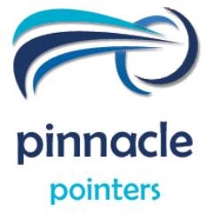 Pinnacle Pointers is a Search Marketing and SEO Company. We provide best services in Online Marketing, Content Writing and Web Designing.