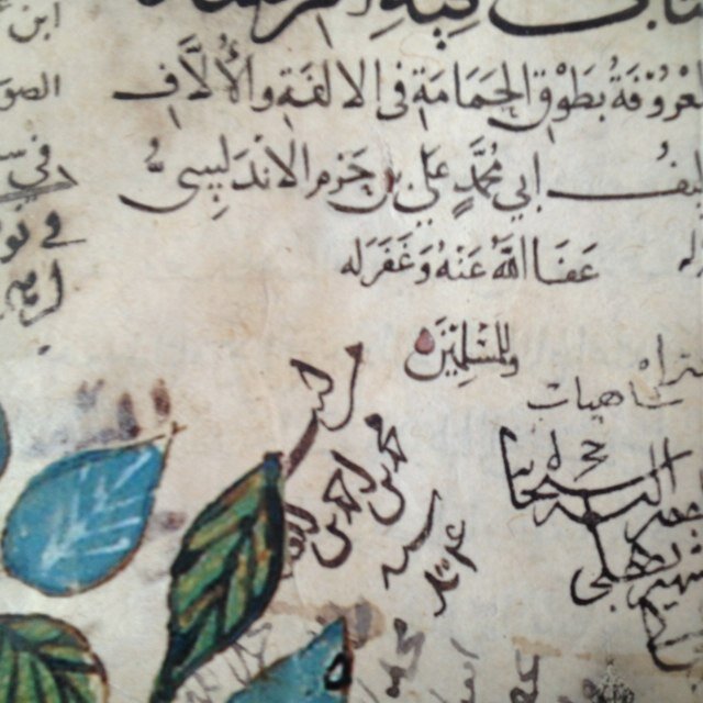 الحمد لله على كل حال