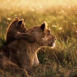 matvikomama's profile picture. Все, что хочет знать каждая мама. Трогательно, смешно и полезно о материнстве