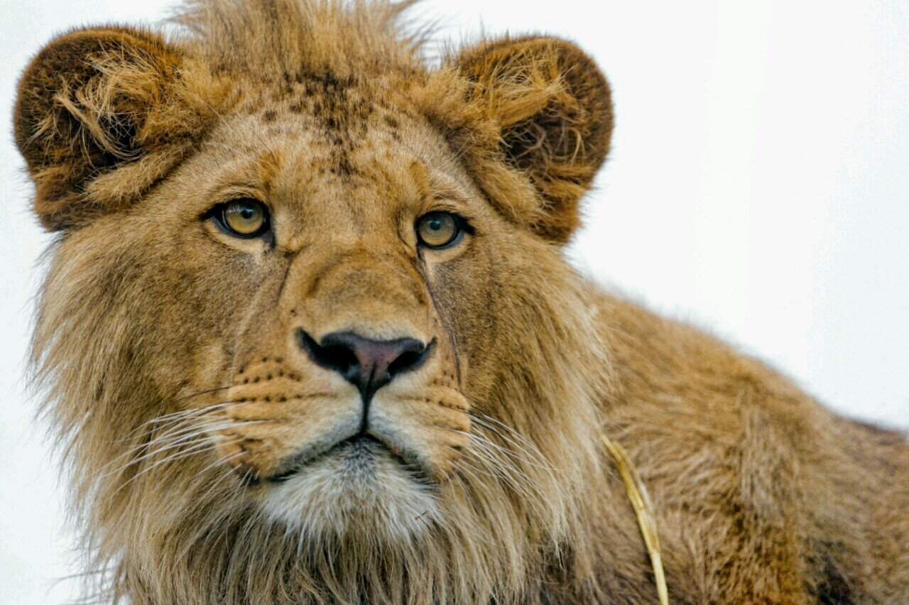 lov32000's profile picture. 