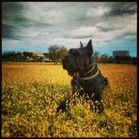 DT (@d_tebar) 's Twitter Profile