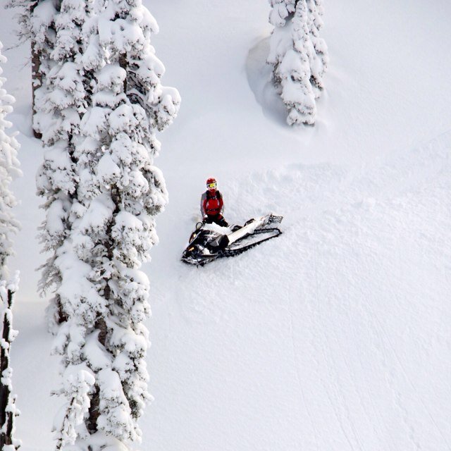 Chiropractor, Snowmobiler, Athletic Trainer