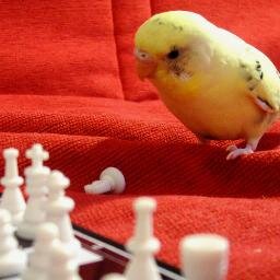 Testscript11's profile picture. 