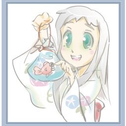 金平糖さんのプロフィール画像
