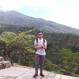 Traveller