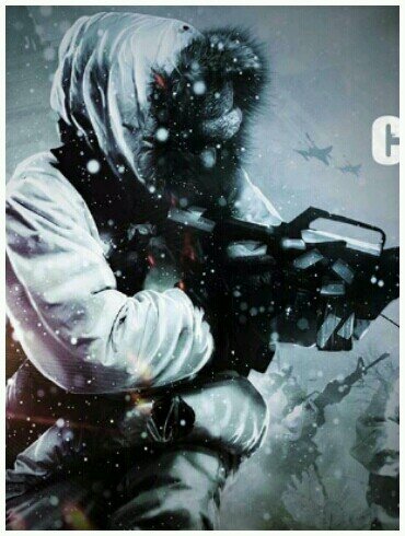 bf4 ou cod ghost