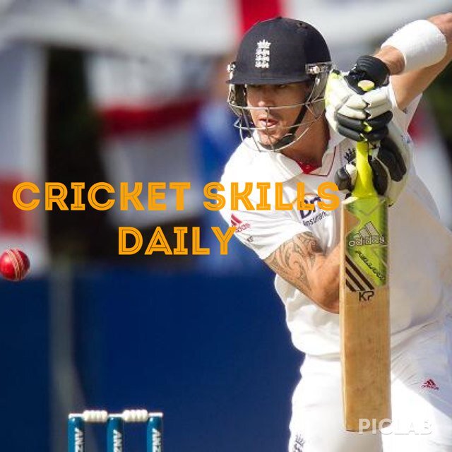Daily Cricket Coaching tips from the worlds best players and coaches!  Batting, bowling, captancy, fitness. We also share your tips so get involved!