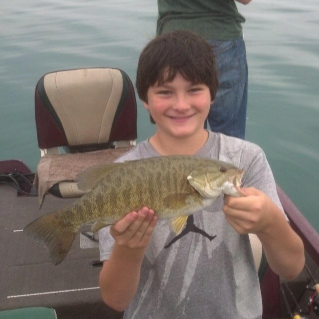 brdonbballl15's profile picture. 