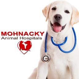 Mohnacky Animal Hospitals has provided compassionate care for over 40 years.  Building trusting relationships and giving back to our community is at our core.