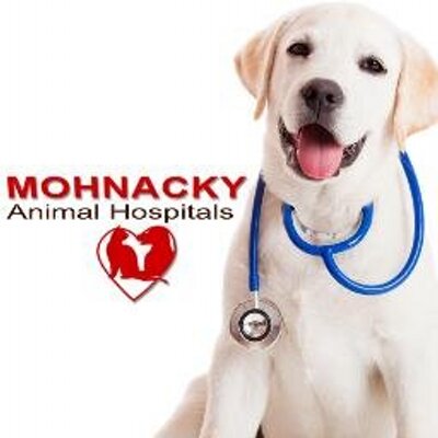 Mohnacky Animal Hospitals (@Mohnacky_Vets) / Twitter