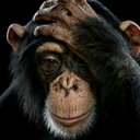 Andy Cousins - @AndyCousins3 - Twitter