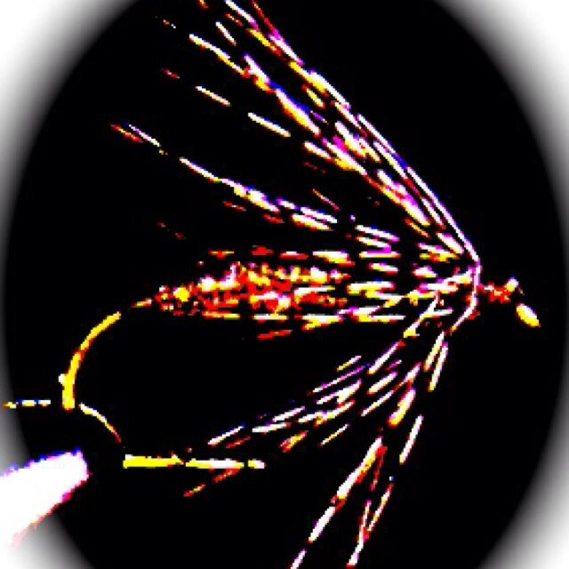soffhackle's profile picture. Fly fisherman/Fly tier- Soft Hackles my passion - The swing's the thing... along with keeping it all very simple.