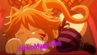 Well aren't you just an adorable little kitty~!